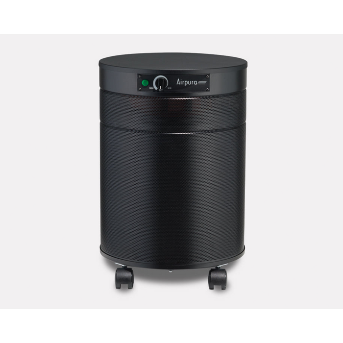 Airpura R600 - The Everyday Air Purifier